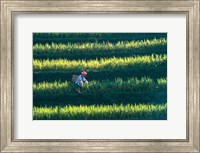 Framed Zhuang Girl in the Rice Terrace, China