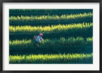 Framed Zhuang Girl in the Rice Terrace, China