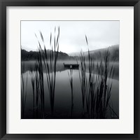 Framed Through the Reeds at Dawn Crop