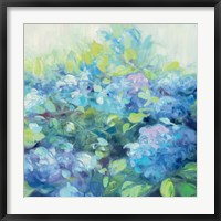 Framed Bright Hydrangea II