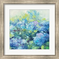 Framed Bright Hydrangea II