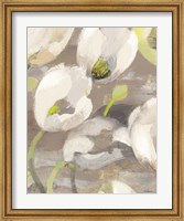 Framed Tulip Delight I