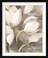 Framed Tulip Delight II