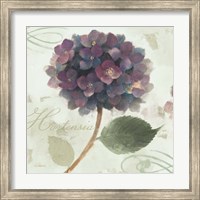 Framed Abundant Hydrangea II Blue Green