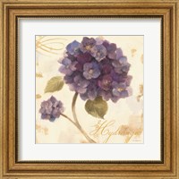 Framed Abundant Hydrangea I