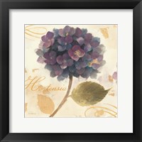 Framed Abundant Hydrangea II