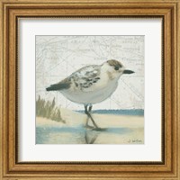 Framed Beach Bird I