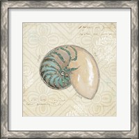 Framed Beach Treasures III