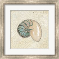 Framed Beach Treasures III