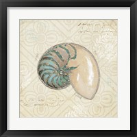 Framed 'Beach Treasures III' border=