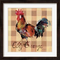 Framed Coq Orange