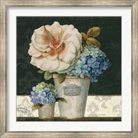 Framed French Vases II