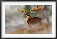 Framed Irish Elk stands in deep grass on a foggy hillside