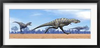 Framed Three Aucasaurus dinosaurs running in the desert
