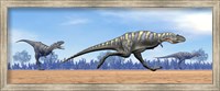 Framed Three Aucasaurus dinosaurs running in the desert