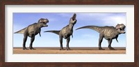 Framed Three Tyrannosaurus Rex dinosaurs standing in the desert