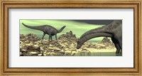 Framed Two Dicraeosaurus dinosaurs in a desert landscape