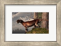 Framed leopard coated Lycaenops hunts among a forest