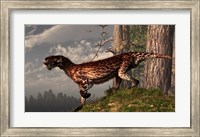 Framed leopard coated Lycaenops hunts among a forest