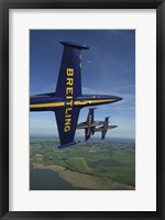 Framed 3 Aero L-39 Albatros in formation