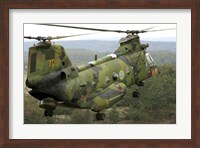 Framed CH-46 Sea Knight helicopter of the Swedish Air Force