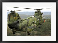 Framed CH-46 Sea Knight helicopter of the Swedish Air Force