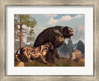 Framed saber-toothed cat tries to drive a short-faced bear out of its territory