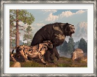 Framed saber-toothed cat tries to drive a short-faced bear out of its territory