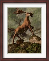 Framed Irish Elk stands proudly in a dense forest
