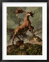 Framed Irish Elk stands proudly in a dense forest