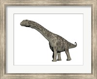 Framed Argentinosaurus dinosaur, white background