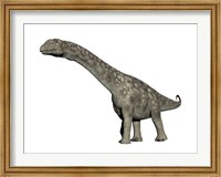 Framed Argentinosaurus dinosaur, white background