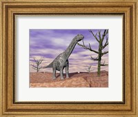 Framed Argentinosaurus standing on the cracked desert ground next to dead trees