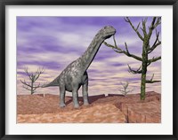 Framed Argentinosaurus standing on the cracked desert ground next to dead trees