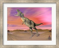 Framed Aucasaurus dinosaur roaring in the desert by sunset