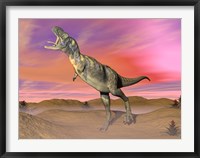 Framed Aucasaurus dinosaur roaring in the desert by sunset