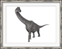 Framed Brachiosaurus dinosaur, white background