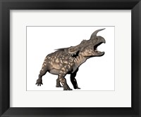 Framed Einiosaurus dinosaur, white background