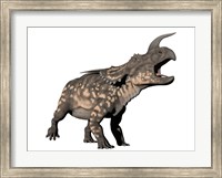 Framed Einiosaurus dinosaur, white background