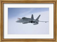 Framed Side View of F/A-18 Hornet of the Finnish Air Force