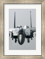 Framed Close View of F-15E Strike Eagle of the US Air Force
