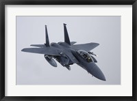 Framed F-15E Strike Eagle of the US Air Force