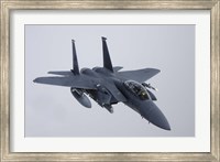 Framed F-15E Strike Eagle of the US Air Force