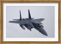 Framed F-15E Strike Eagle of the US Air Force