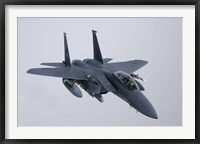 Framed F-15E Strike Eagle of the US Air Force