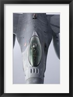 Framed F-16 Fighting Falcon of the Portugese Air Force