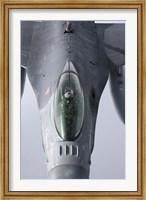 Framed F-16 Fighting Falcon of the Portugese Air Force