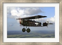 Framed Fokker DVII World War I replica fighter in the air