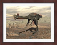Framed Gigantoraptor dinosaur walking  on rocky terrain