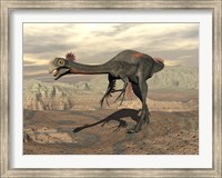 Framed Gigantoraptor dinosaur walking  on rocky terrain